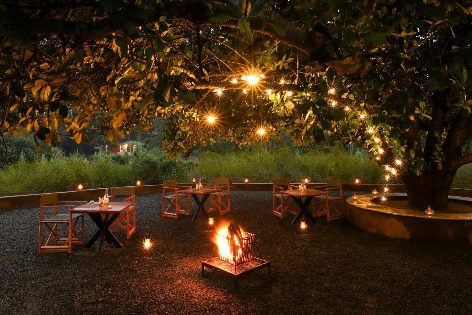 Lemon Tree Wildlife Resort, Kānha エクステリア 写真